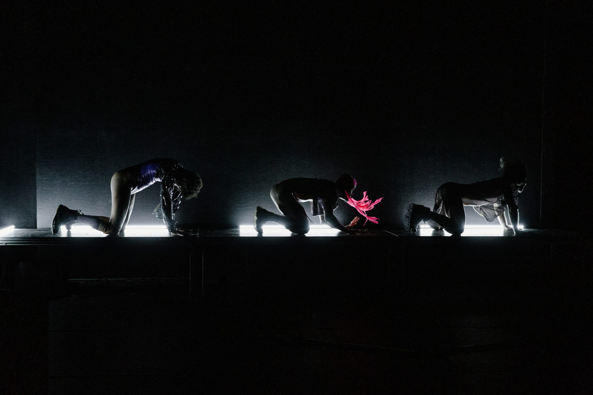 Dans le mille, to the point, Bo / Kevin Jean, la fronde, 2021